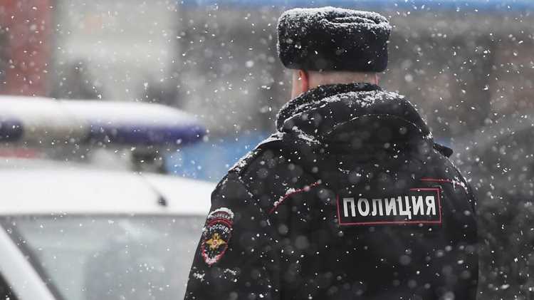 Исследование отзывов о работе службы поддержки Кракен